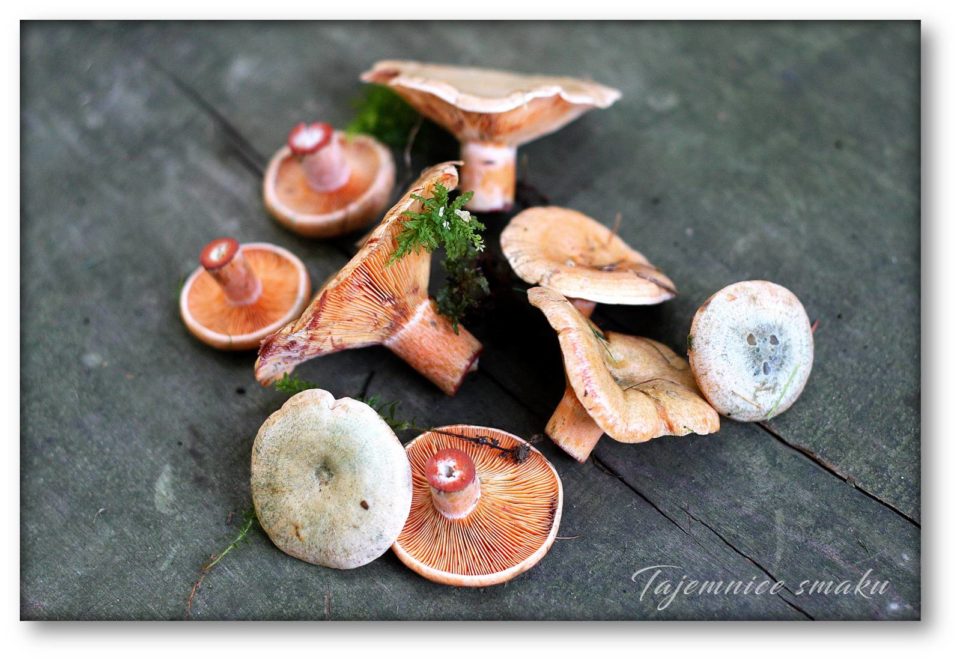 risotto-z-grzybami